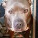 Kathy Harms - Facebook