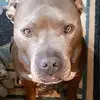 Kathy Harms - @kathy.harms - TikTok