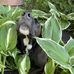 Katy Harms - Facebook