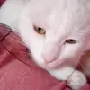 Katy Heredia - @katy.heredia82 - TikTok