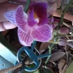 Kathy Hogan - @kathy.hogan.9066 - Instagram