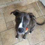 Katy Hogan - @katy.scout - Instagram