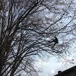 Kathy Holzer - @holzerkathy - Instagram