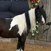 Katy Howell4 - @katyhowell1278 - TikTok