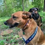 Katy Pribble Howell - @katyhowell63 - Instagram