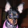 Katy Huff - @31033184348 - TikTok
