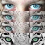 Katy Humphrey - @katy_faustine - Instagram