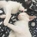 Katy Hung - Facebook