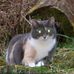 Kathy Ingram - Facebook