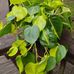 Katy Ingram - Facebook