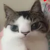 Katy 🍒👅 - @katyjacksonn._ - TikTok