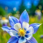 Katy Jacobs - Facebook