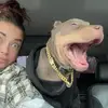 Katy  Jefferson - @k.jefferson580 - TikTok