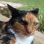 Katy Purry - @katy_purry_joyner - Instagram