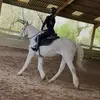 Katy et Obelix🐴🤍 - @katy_jump36 - TikTok