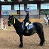 Katy.showjumping - @katy.showjumping - TikTok