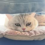 Kathy Kahn - @kathy.kahn.581 - Instagram