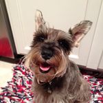 Kathy Kaplan - @kathyjkaplan - Instagram