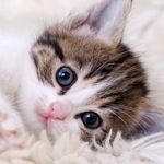 M@ru - @katy__katz - Instagram