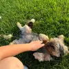 katy kay - @liddyhanson - TikTok