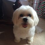 Kathy Kiser - @kkiser865 - Instagram