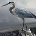 Kathy Knott - Facebook