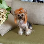 @katy.kozlovskaya - Instagram