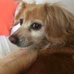 Katy Kuipers - Facebook