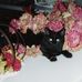 Kathy Kunkel - Facebook