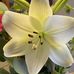Kathy Kunkel - Facebook