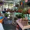 Kathy Lafferty - @kathy.lafferty - TikTok