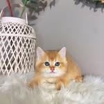 katy____land - @katy_____land - Instagram
