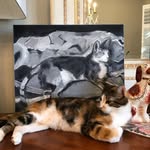 Katy Landberg Art - @katylandbergart - Instagram