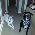 Katy Langston Rutherford - Facebook