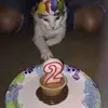 Kathy Larkin - @kathy.larkin8 - TikTok