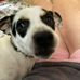 Kathy Larkin - Facebook