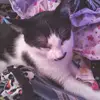 Kathy Larsen - @kathy.larsen56 - TikTok