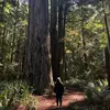 Katie Larsen - @katiegirl_2008 - TikTok