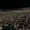 laysilva4432 - @katylay_ - TikTok