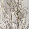 katey Layton  - @katey.be_litttt - TikTok
