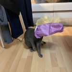 Katy Light - @katy_light_ - Instagram
