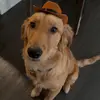 Kate Lind - @kate.lind - TikTok