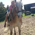 Katy Lindhorst - @katylindidind - Instagram
