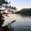 Kate Madden - @katemadden - TikTok