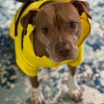 Katy McMahon - @auntt2020katy - Instagram