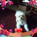 Kathy Meade - Facebook