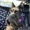 Katy79 - @katy.meade79 - TikTok