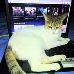 Katy Mendonça - @katialinemendonca83 - Instagram