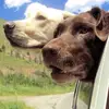 Katie Menges - @katie.menges - TikTok
