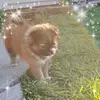 Kathy Anthony Messer - @kathymesser - TikTok